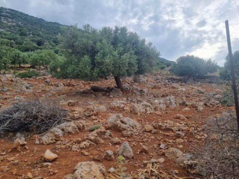 Agios Nikolaos Kreta, Agios Nikolaos: Grundstück mit Meerblick zu verkaufen Grundstück kaufen